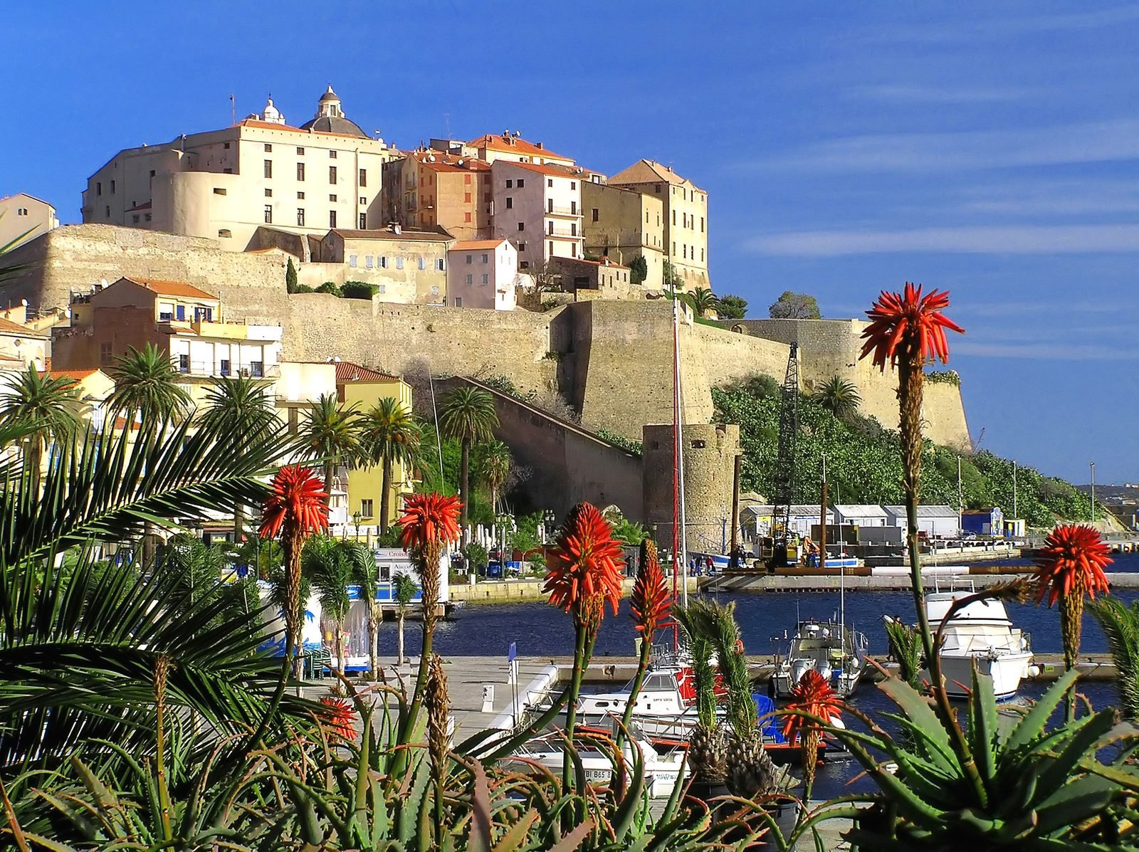Citadelle de Calvi